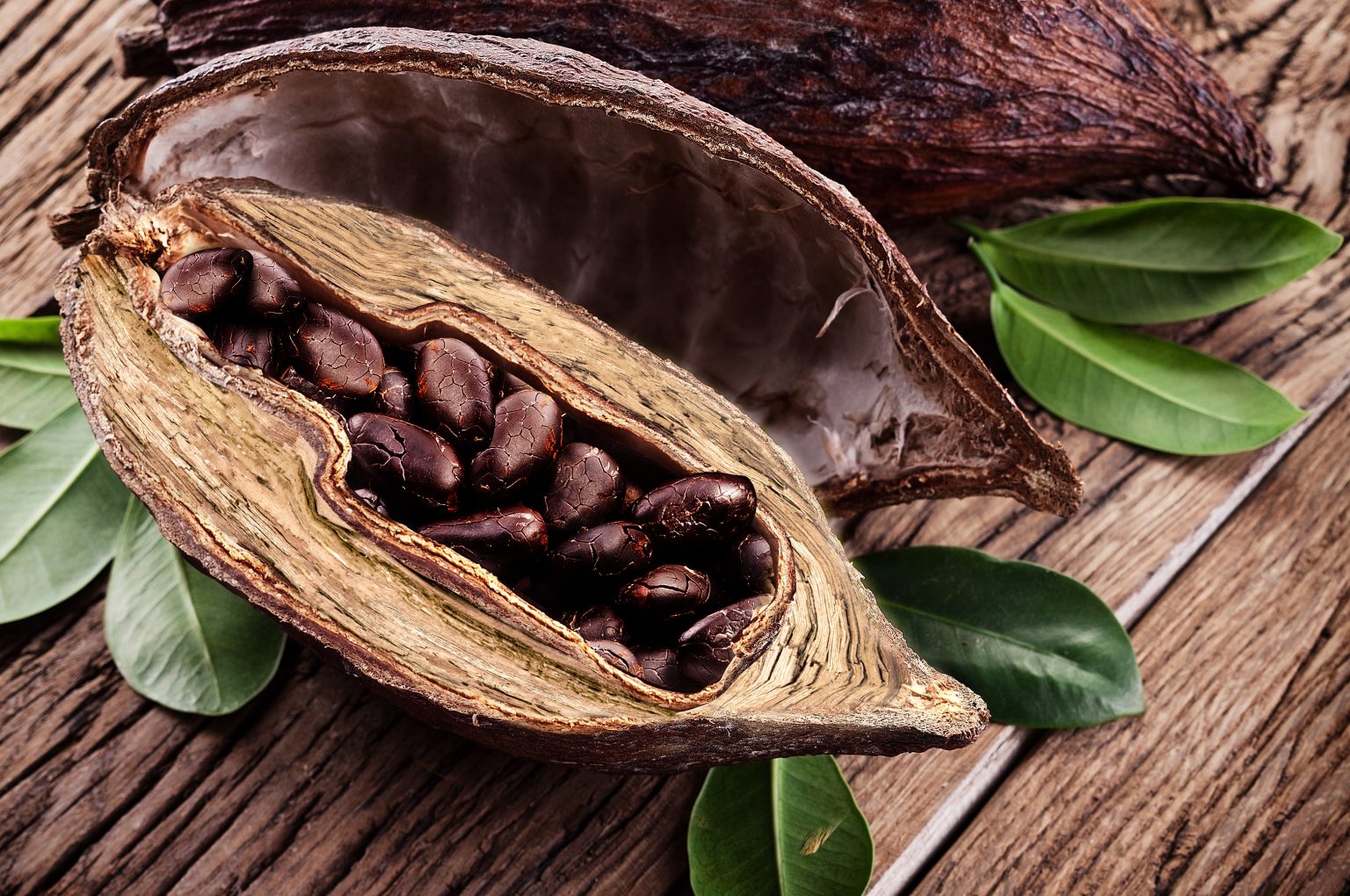 Angostura teaser image